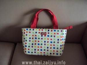 ジムトンプソンバック２